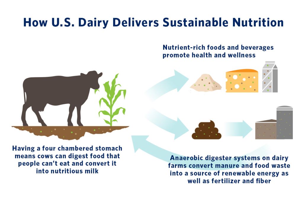 How U.S. Dairy Delivers Sustainable Nutrition